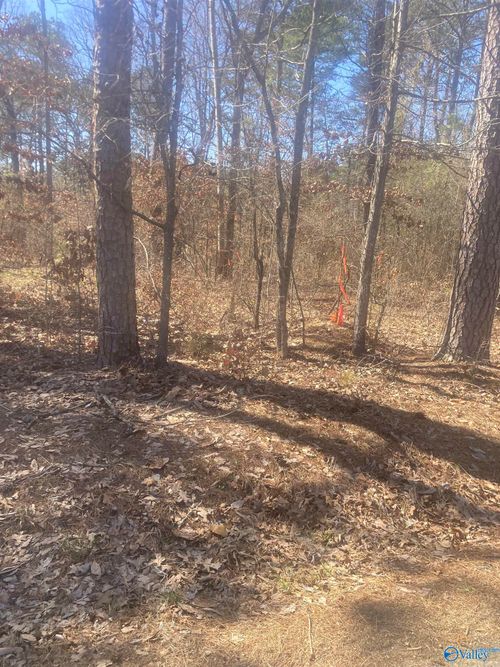 lot 3 County Road 642, Cedar Bluff, AL, 35959 | Card Image
