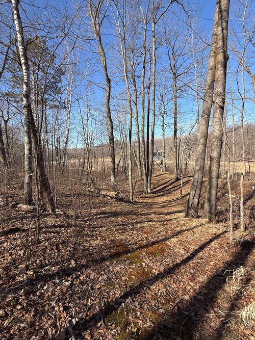 TBD Big Stone Pass, Randall, MN, 56475 | Card Image