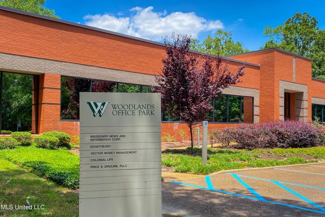 Woodlands-2022-46 | Image 4