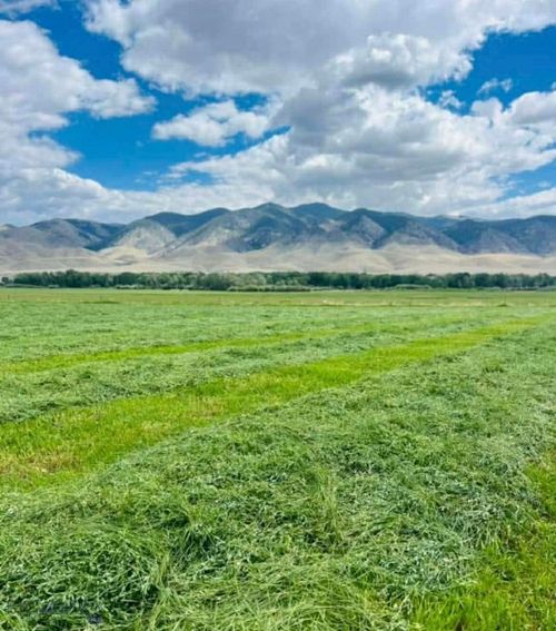 TBD Schoolhouse Rd, Glen, MT, 59732 | Card Image