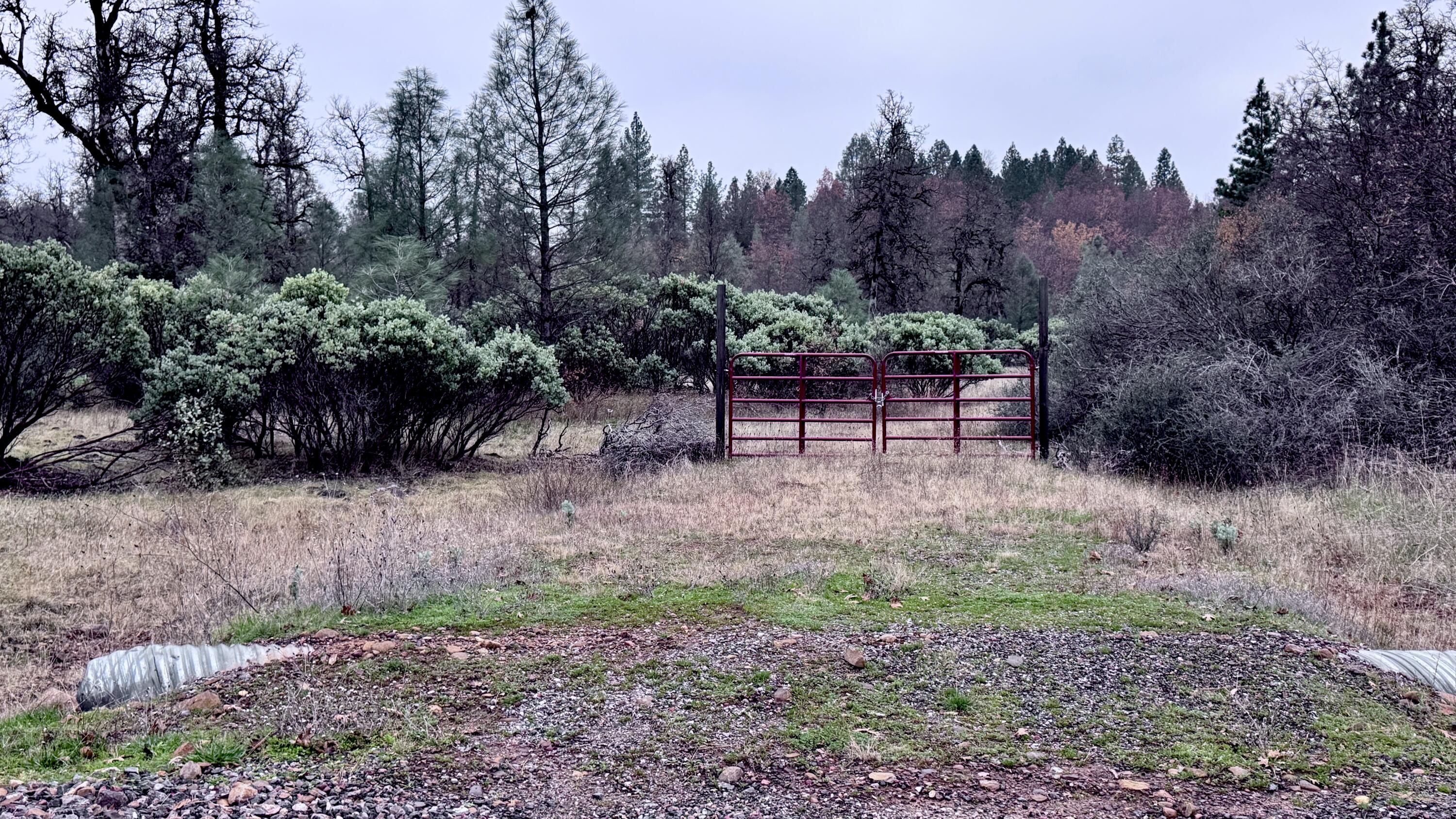 Land in Montgomery Creek 2