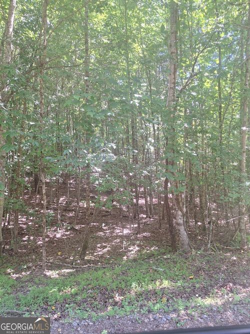 0 Judah Road, Morganton, GA, 30560 | Card Image