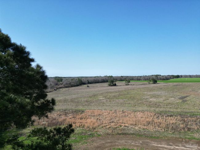 5400 Rockaway Creek Rd, Home with 0 bedrooms, 0 bathrooms and null parking in McDavid FL | Image 12