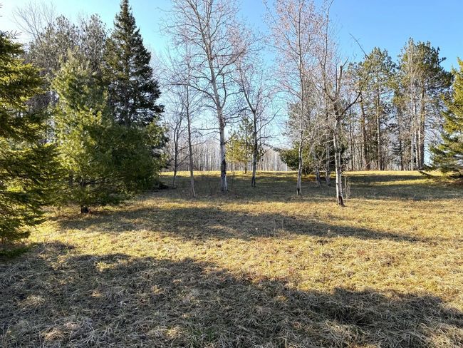 4052 S River Rd, Home with 0 bedrooms, 0 bathrooms and null parking in Cheboygan MI | Image 12