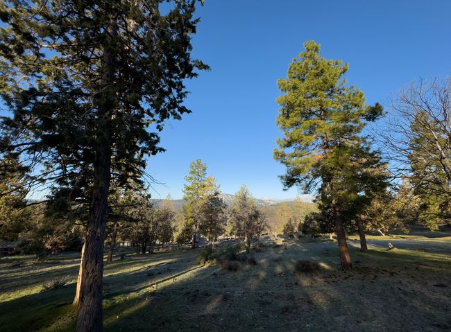 520 Mourning Dove Dr-11 | Image 16