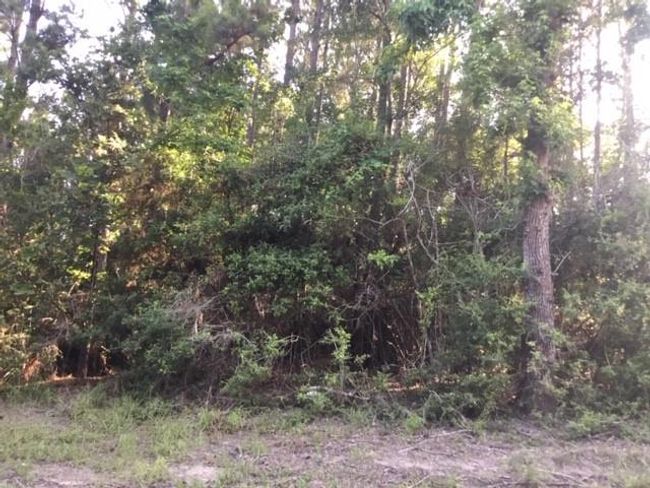 272 Artesian, Home with 0 bedrooms, 0 bathrooms and null parking in Onalaska TX | Image 5