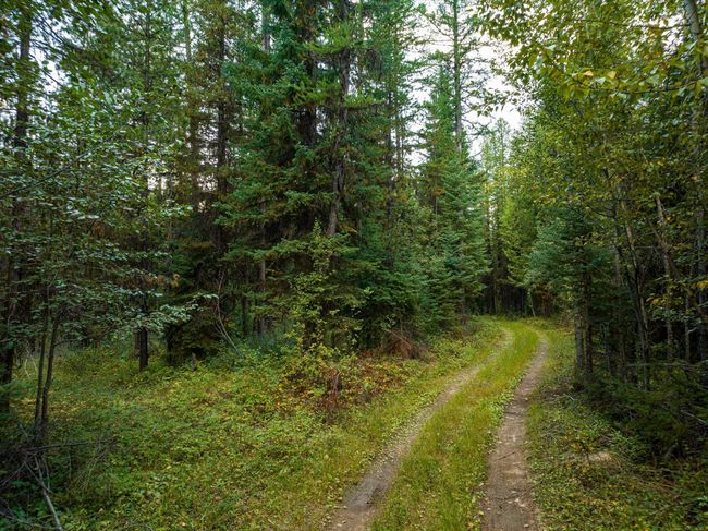 775 Trail Creek Rd, Home with 0 bedrooms, 0 bathrooms and null parking in Polebridge MT | Image 16