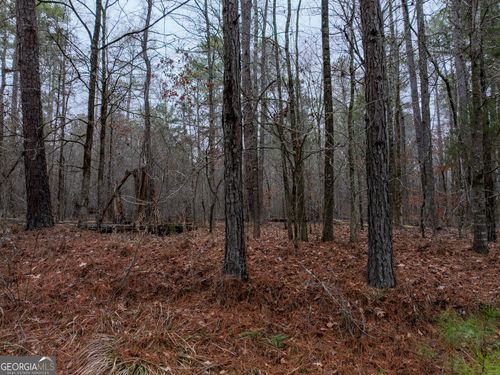 44.61 ACRES Arnold Caldwell Rd, Carlton, GA, 30627 | Card Image