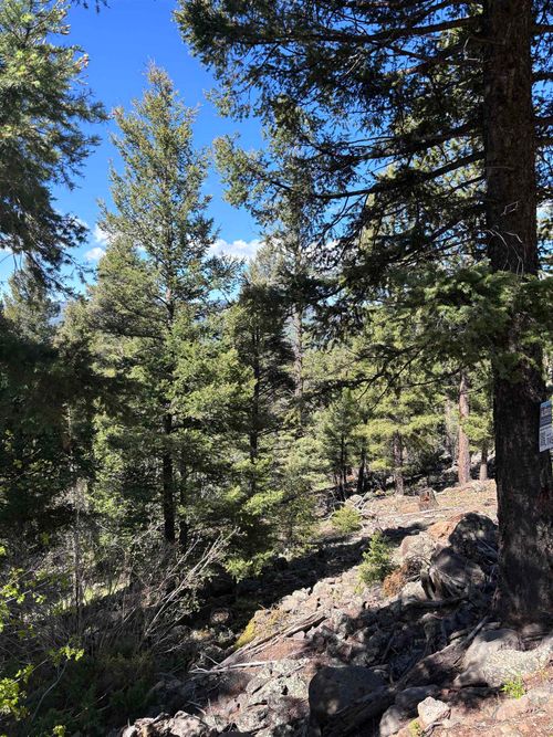 1145 Panorama Way, Angel Fire, NM, 87710 | Card Image