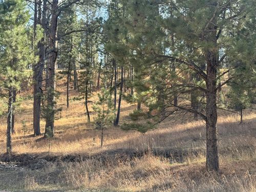 Lot 1 Lechner Ln, Custer, SD, 57730 | Card Image