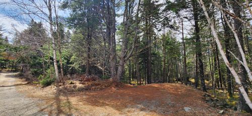 Lot 101 Woods Rd, Bayswater, NS, B0J | Card Image