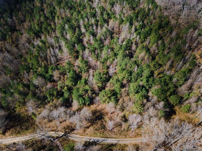 5905 Line Rd, Home with 0 bedrooms, 0 bathrooms and null parking in Ethel LA | Image 4