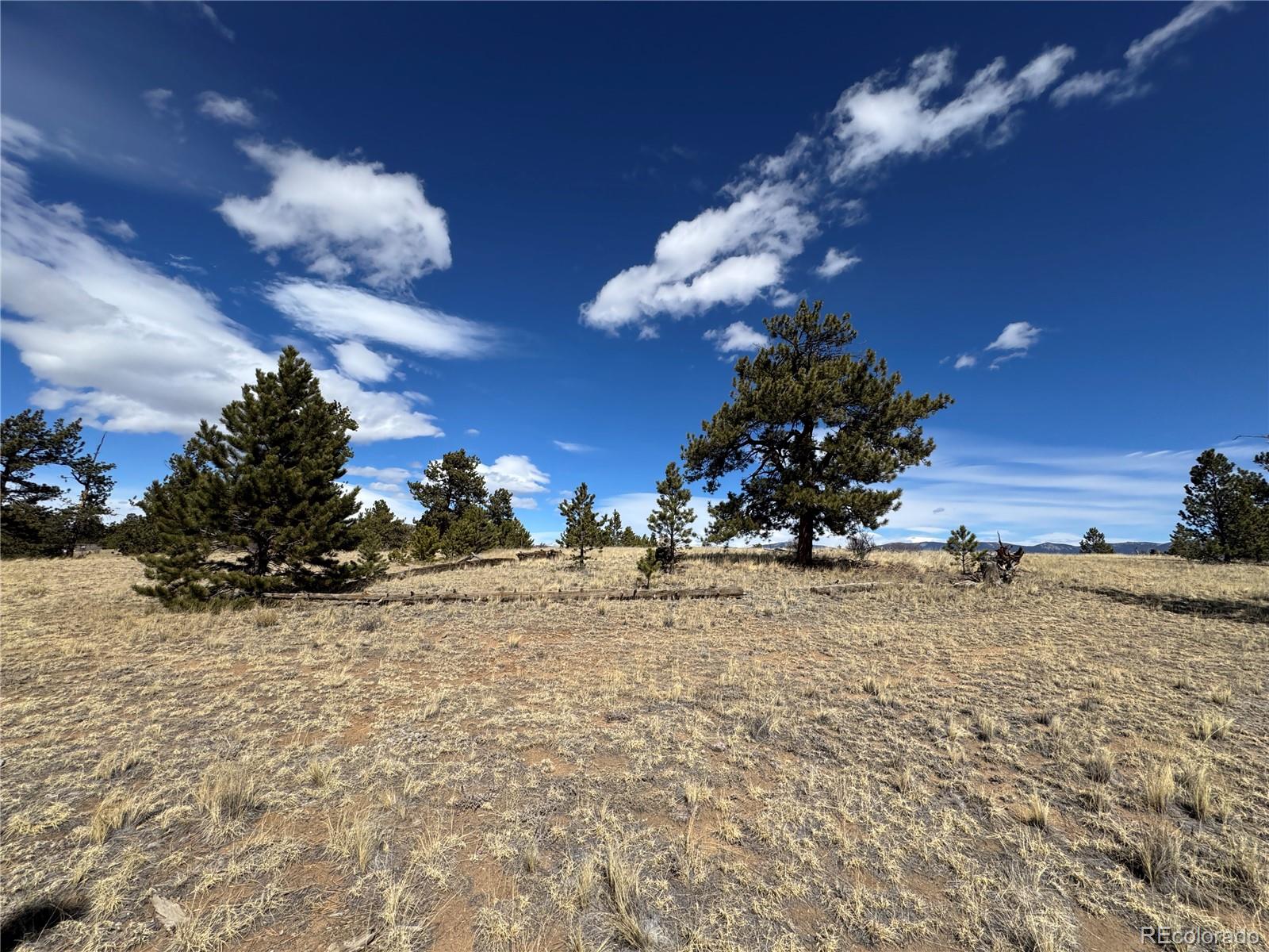 Land in Jefferson 4