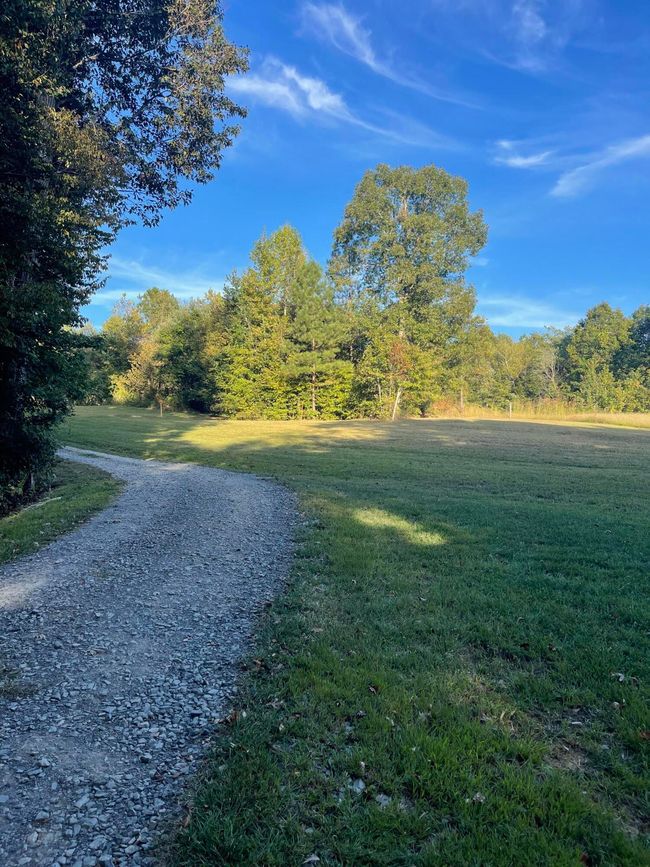 Winding driveway | Image 9