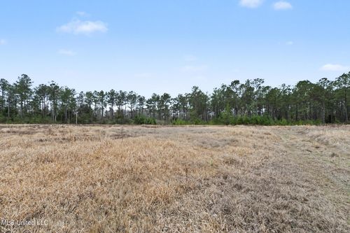 20.5 Acres Highway 98, Lucedale, MS, 39452 | Card Image