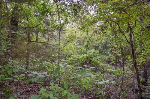 TBD Vz County Road 1703, Grand Saline, TX, 75140 | Card Image