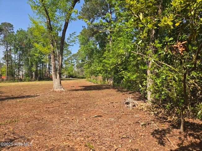 1254 Shenandoah St, Home with 0 bedrooms, 0 bathrooms and null parking in Wilmington NC | Image 12