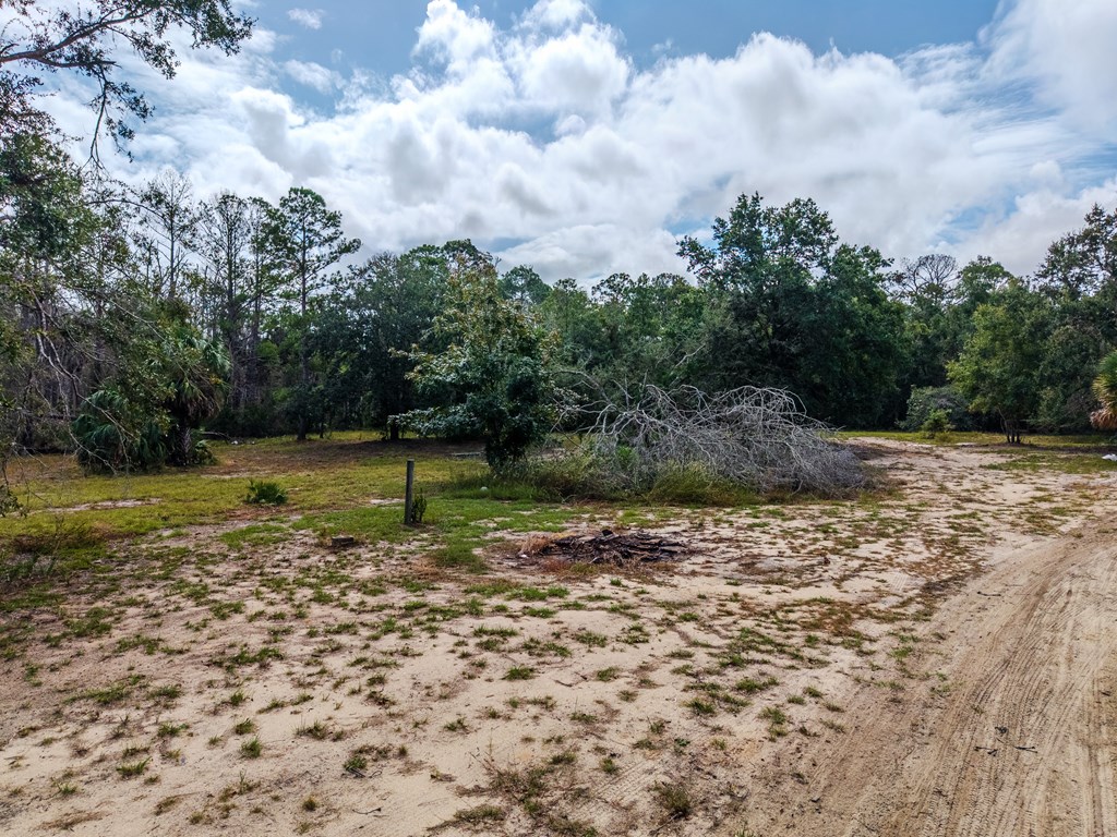 Residential in Steinhatchee 4