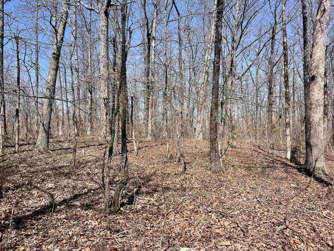 000 Dabney Rd, Home with 0 bedrooms, 0 bathrooms and null parking in Jerusalem AR | Image 11