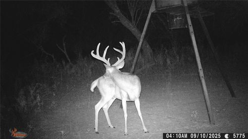 000000 County Road 267, Early, TX, 76802 | Card Image