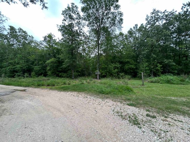 260 E Pine Lake Dr, Home with 0 bedrooms, 0 bathrooms and null parking in Sour Lake TX | Image 5