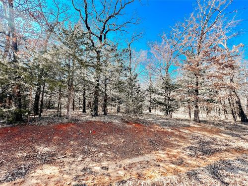 Lot 9 Castle Pines Cir, Gordonville, TX, 76245-1105 | Card Image