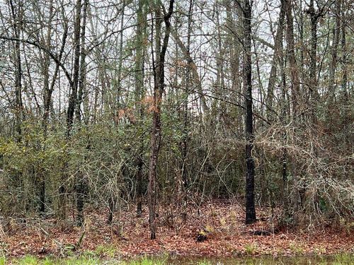 0 Whiteside Dr, Onalaska, TX, 77360 | Card Image
