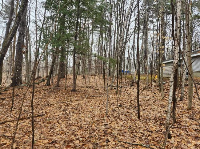0 Dock Rd, Home with 0 bedrooms, 0 bathrooms and null parking in Gilmanton NH | Image 13