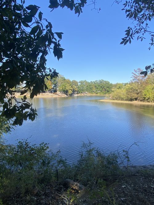 442 Duck Blind Rd, Clifton, TN, 38425 | Card Image