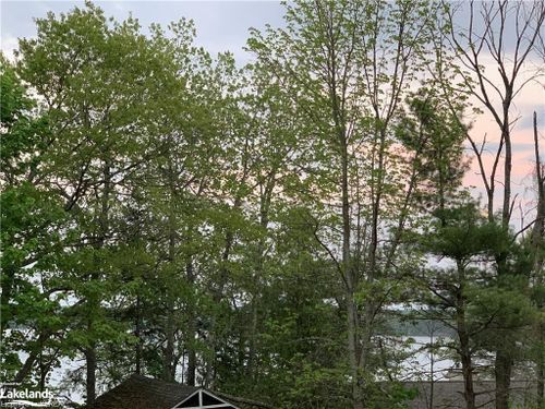 17403 Highway 35, Haliburton, ON, K0M1S0 | Card Image