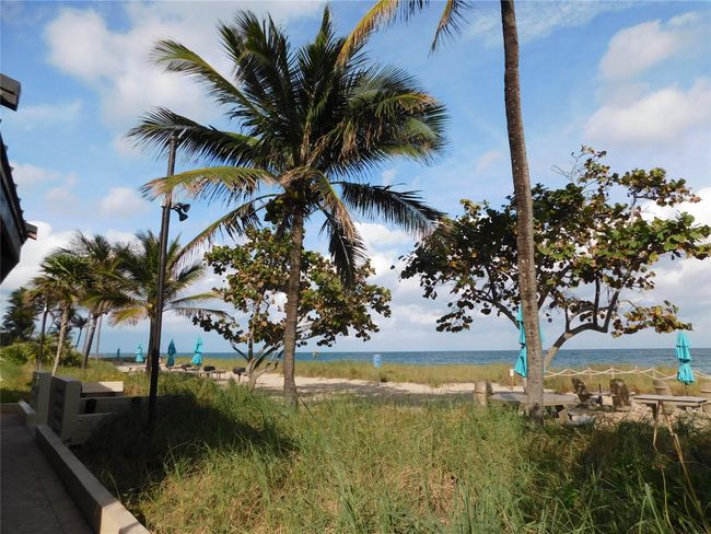 Beachwalk | Image 39
