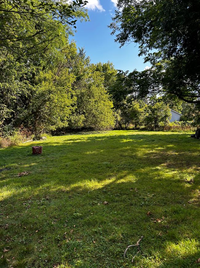 Backyard | Image 14