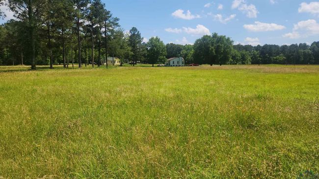 17559 Fm 31, Home with 0 bedrooms, 0 bathrooms and null parking in Elysian Fields TX | Image 4