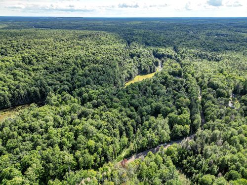 843 Lasswade Rd, Apsley, ON, K0L1A0 | Card Image