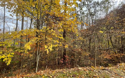 Lot 5A Anns Ln, Hayesville, NC, 28904 | Card Image