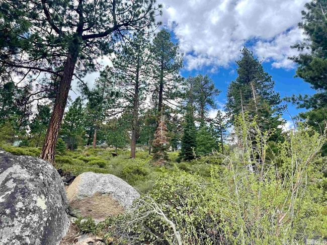 285 Gonowabie Rd, Home with 0 bedrooms, 0 bathrooms and null parking in Crystal Bay NV | Image 19