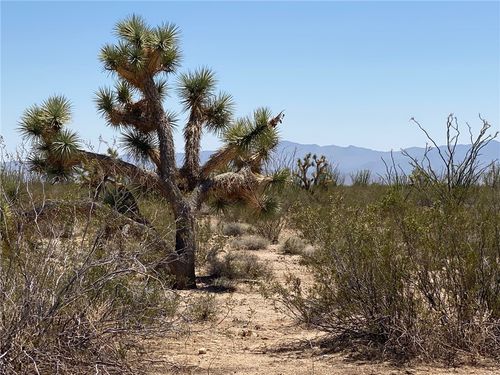 812-812 Stagecoach Trail, Yucca, AZ, 86438 | Card Image