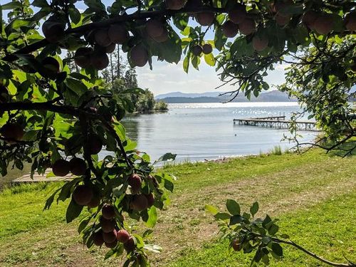 41322 Mello Cove Ln, Dayton, MT, 59914 | Card Image