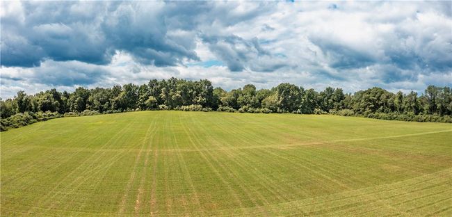 Looking north across the west field | Image 8