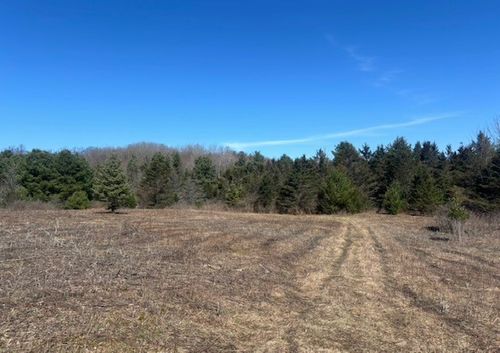 0 Hall Rd, Ithaca, NY, 14850 | Card Image