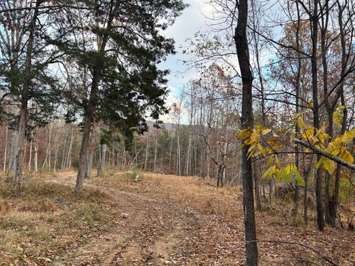 170 Glider Way, Buchanan, VA, 24066-5016 | Card Image