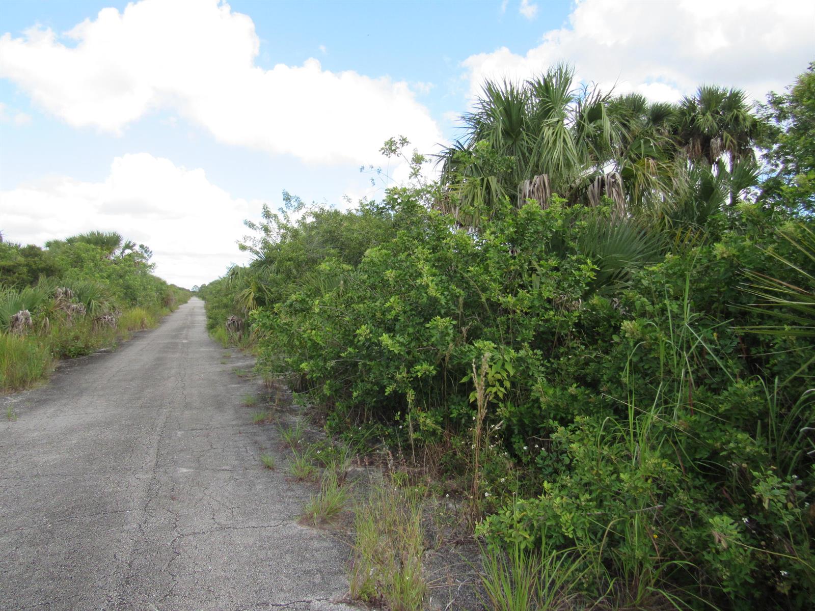 Other in Palm Bay