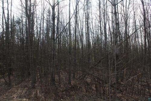 50XX S Maple Dr, POPLAR, WI, 54864 | Card Image