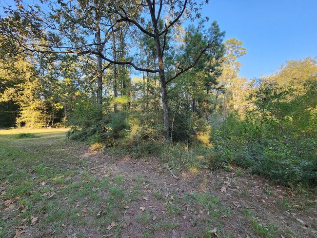 0 Hackberry Dr, Home with 0 bedrooms, 0 bathrooms and null parking in Onalaska TX | Image 5