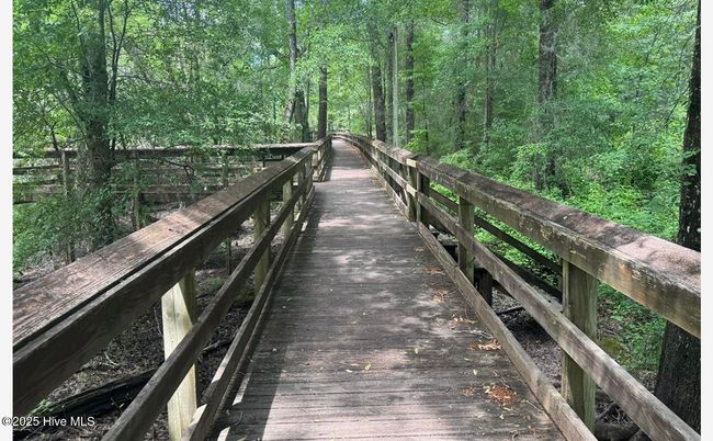 109 Conway Rd, House other with 3 bedrooms, 2 bathrooms and null parking in Fair Bluff NC | Image 73