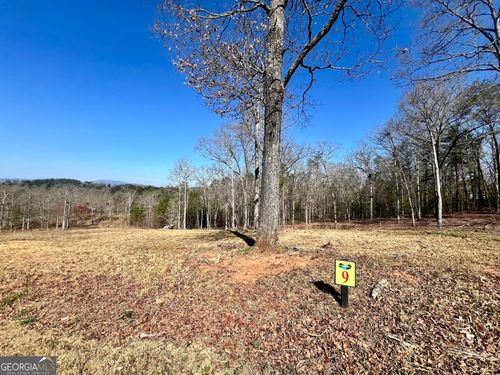 9 Arbor Creek Trail, Mineral Bluff, GA, 30559 | Card Image