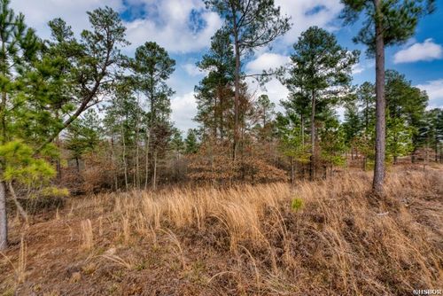 lot-11-19 Lookout Lane, Kirby, AR, 71950 | Card Image