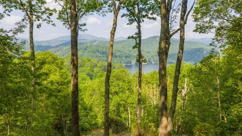 1 Receptive Dr, Glenville, NC, 28736 | Card Image