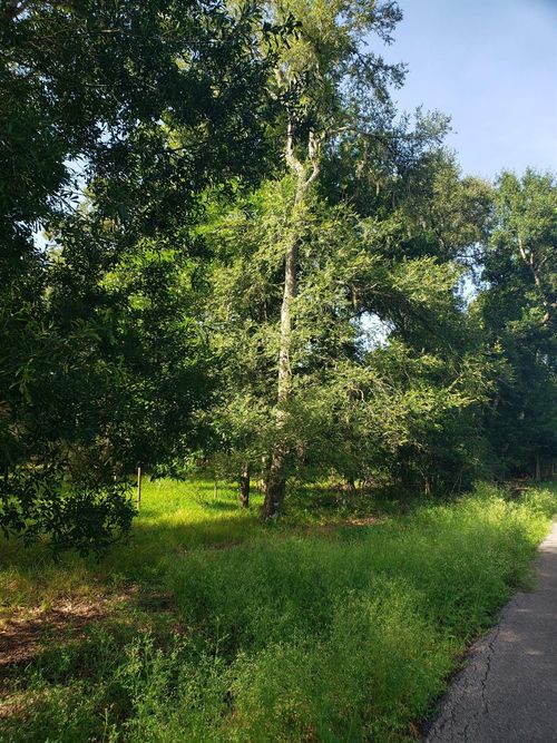 20921 Lake Forest Rd S, Guy, TX, 77444 | Card Image