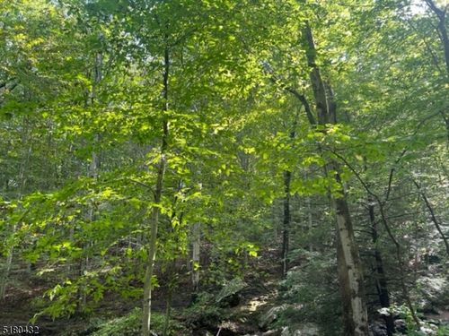 0 Route 46, Mine Hill, NJ, 07803 | Card Image